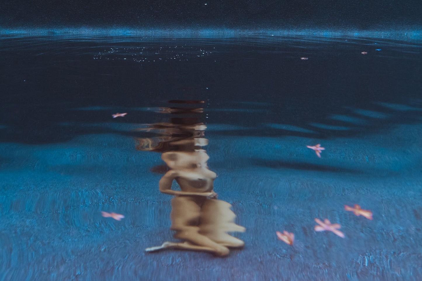 In Dreams