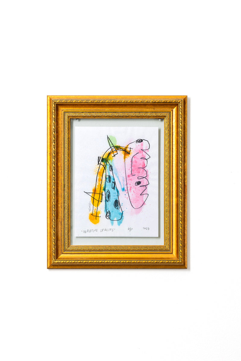 Adaptive Species Color Study F 2