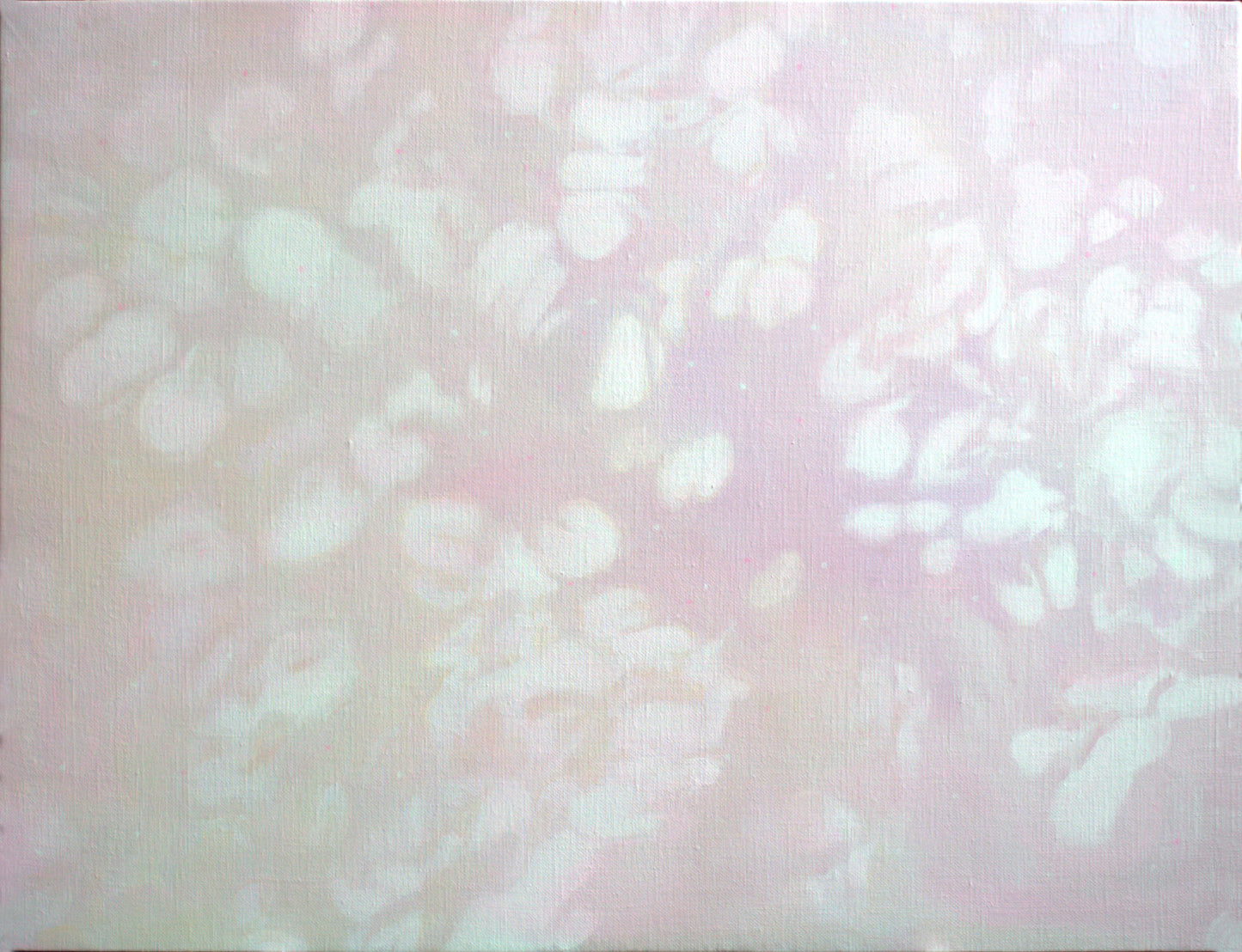 Illusion 84