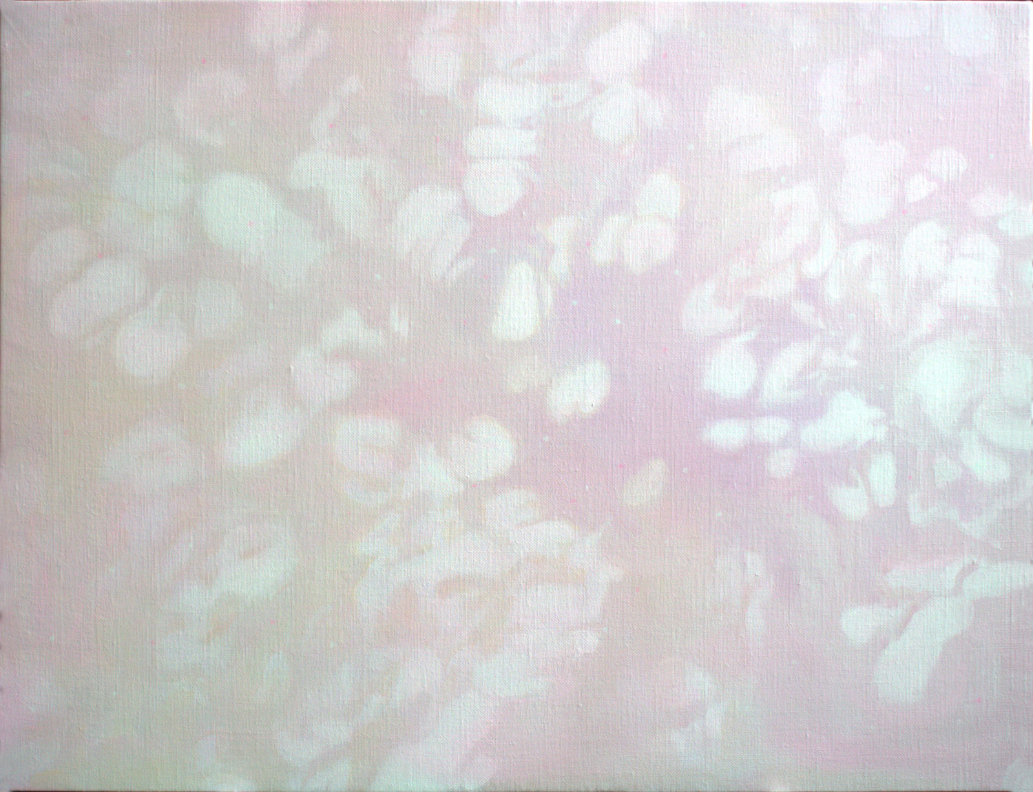 Illusion 84