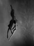 Shadow Play II