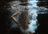 Fever Dream I