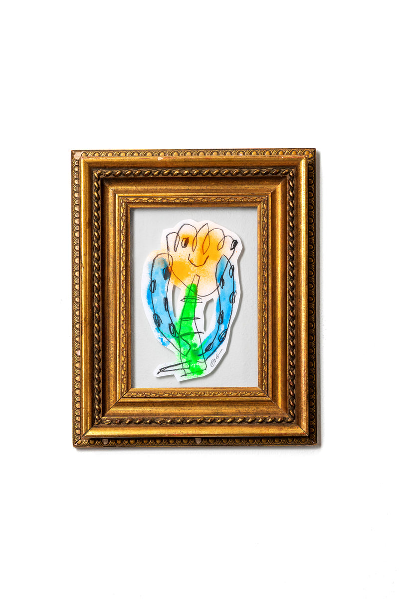 Adaptive Species Color Study E